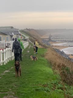 View up the coast towards Gorleston